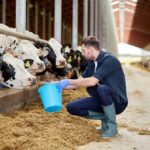 Што значи „контролиран процес“ во производство на млечни производи?